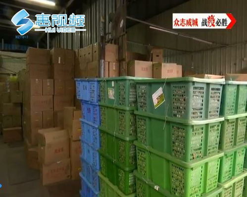 菜不贵也不用抢,惠州市区农副产品货源充足价格稳定